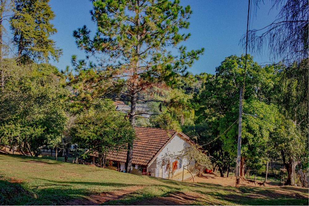 Chácara / Sítio / Fazenda - Venda - Atibaia , São Paulo - RINF-147.jpg - 690921066-77