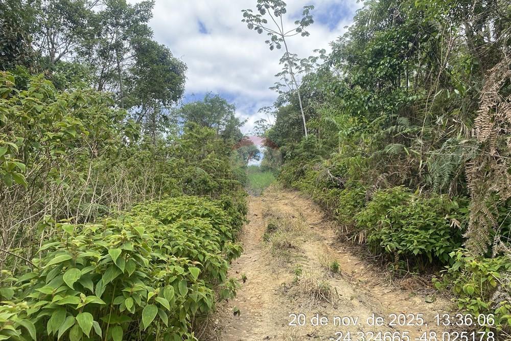 Fazenda - Venda - Pariquera-Açu , São Paulo - DLOW2449.JPG - 690061038-26