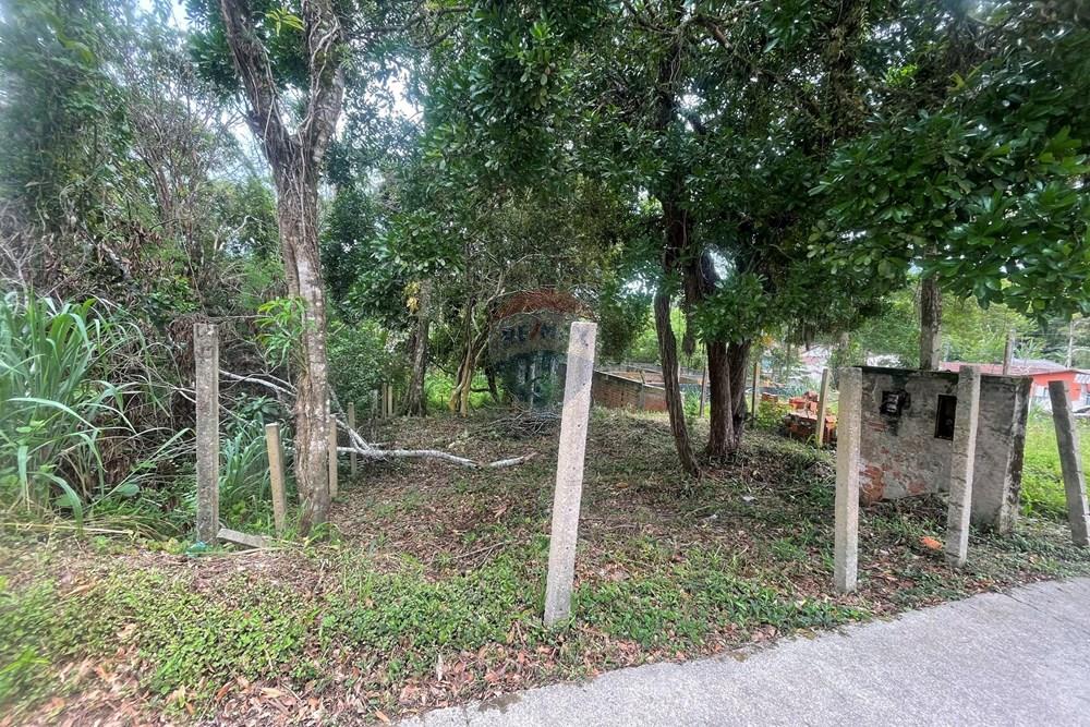 Terreno - Venda - Pariquera-Açu , São Paulo - IMG_9401.jpeg - 690061044-13