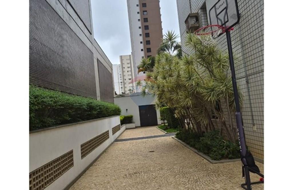 Apartamento - Alugar - Campinas , São Paulo - WhatsApp Image 2026-03-02 at 17.50.24 (1).jpeg - 690681197-33