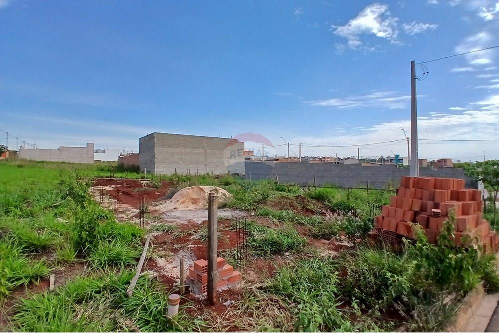 Terreno - Venda - Hortolândia , São Paulo - 20251114_154046.jpg - 690531094-18