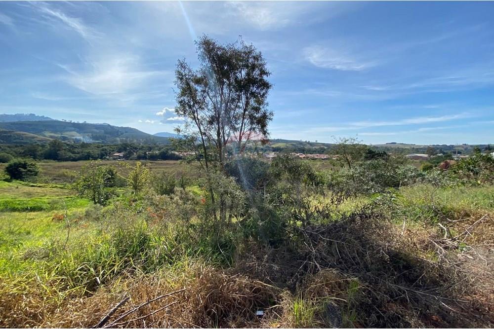 Terreno - Venda - Jacutinga , Minas Gerais - WhatsApp Image 2025-10-06 at 12.27.52.jpeg - 690291077-288