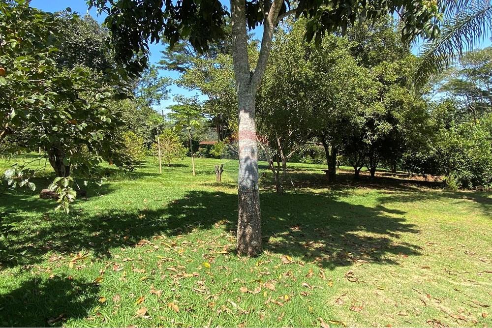 Chácara / Sítio / Fazenda - Venda - Jarinu , São Paulo - Z34.JPEG - 691121003-48