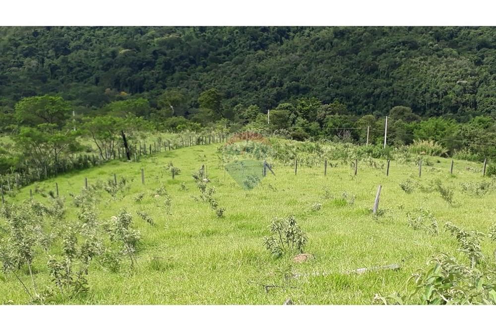 Fazenda - Venda - Serra Negra , São Paulo - 20250211_151512.jpg - 690291056-26