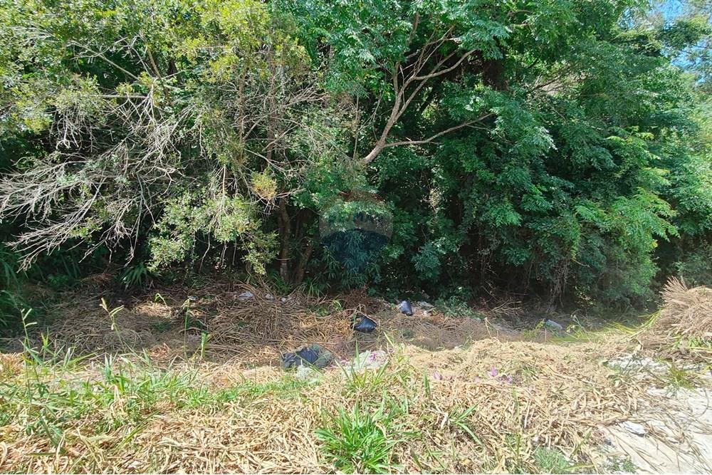 Terreno - Venda - Bragança Paulista , São Paulo - IMG-20250110-WA0040.jpg - 690041135-10