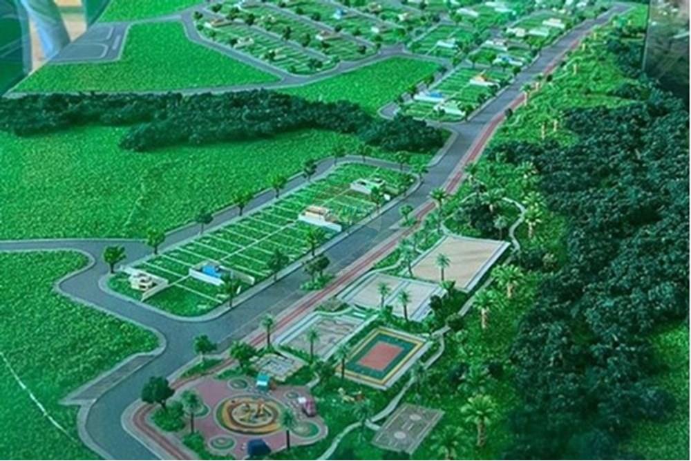 Terreno - Venda - Mogi Mirim , São Paulo - Terrenos Ester.jpg - Quintal - 690521118-220