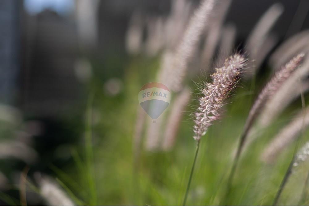 Casa de Condomínio - Venda - Vinhedo , São Paulo - TKD-16023.jpg - 690941014-17