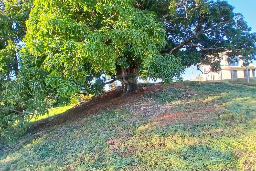 Chácara / Sítio / Fazenda - Venda - Itapira , São Paulo - WhatsApp Image 2025-04-22 at 08.34.36 (2).jpeg - 690291039-40