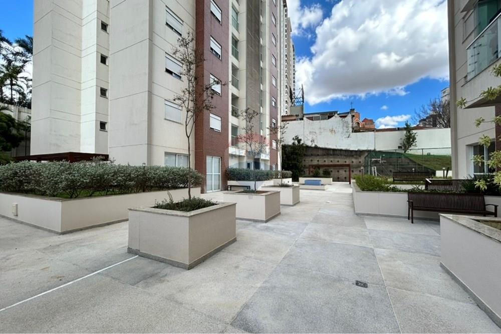 Apartamento - Venda - Campinas , São Paulo - B306F7E2-61BA-4E9F-862A-F87B192F3161_1_105_c.jpeg - 690681132-538