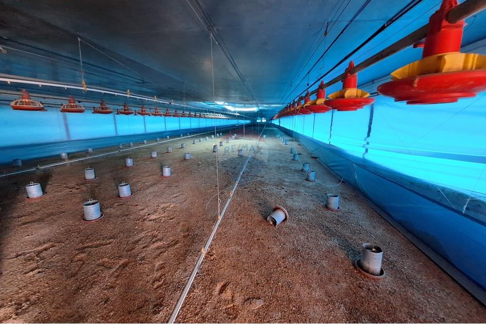 Chácara / Sítio / Fazenda - Venda - Itapira , São Paulo - 20250626_103735.jpg - 690751048-290