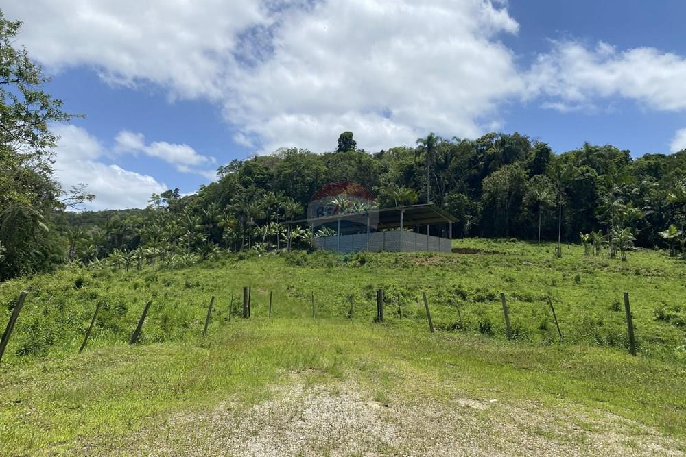 Fazenda - Venda - Pariquera-Açu , São Paulo - IMG_6157.jpg - 690061038-24