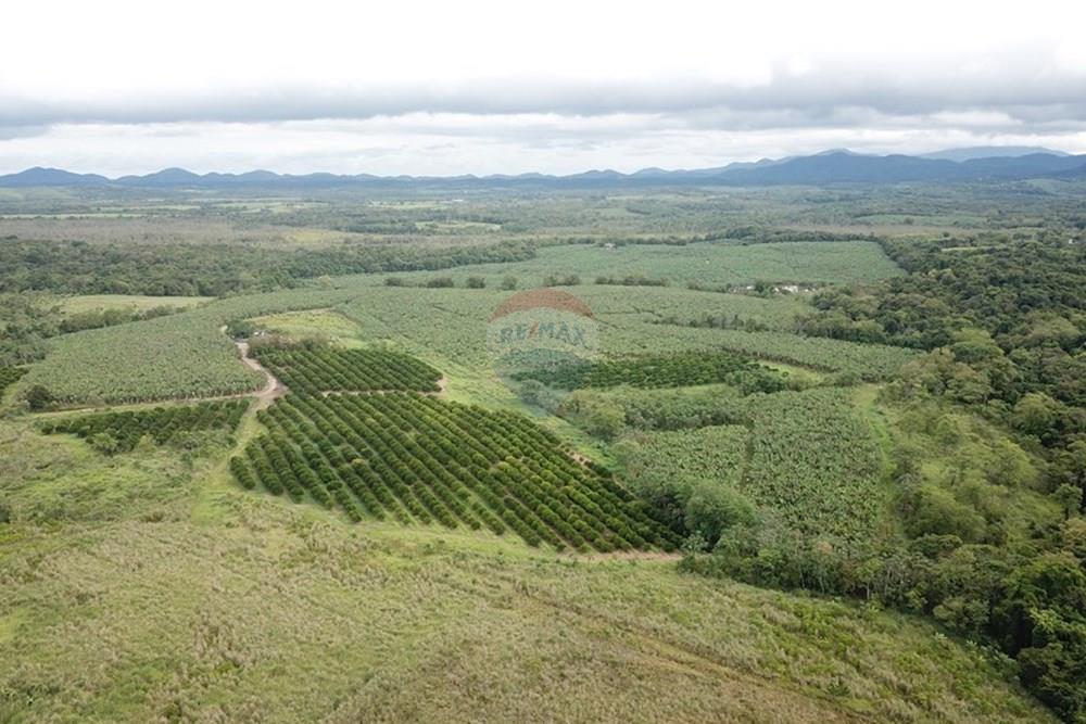 Fazenda - Venda - Pariquera-Açu , São Paulo - GOHK7697.JPG - 690061038-26