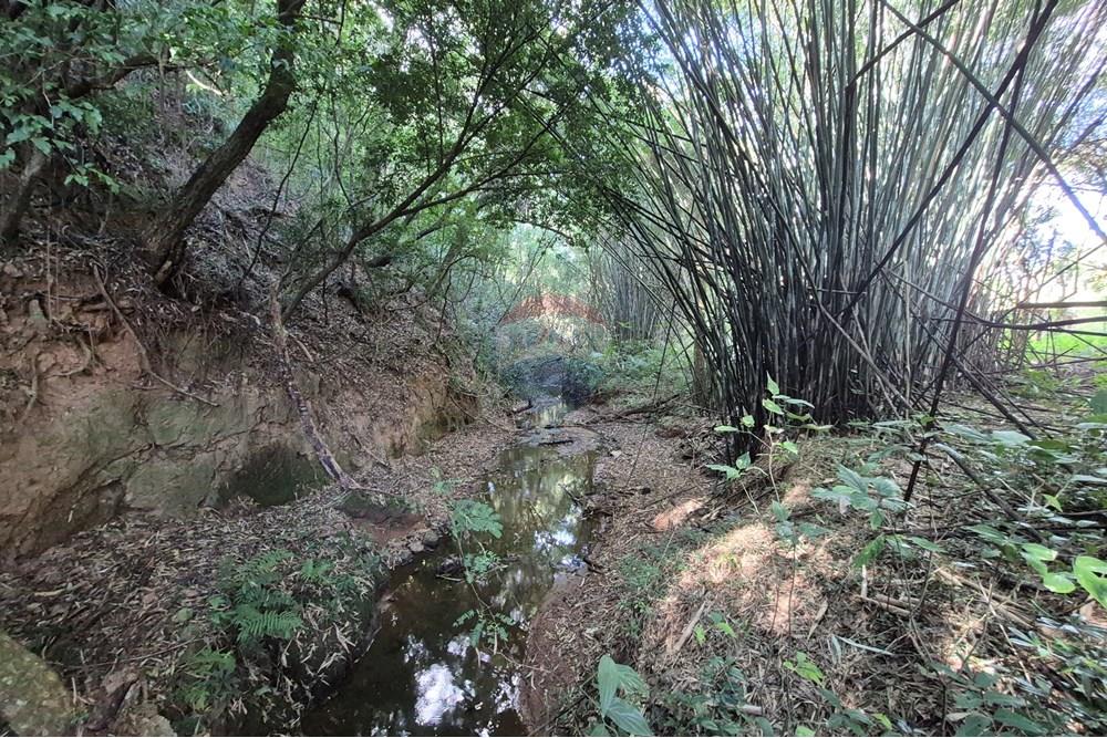 Chácara / Sítio / Fazenda - Venda - Amparo , São Paulo - 20250807_145757.jpg - 690681097-40