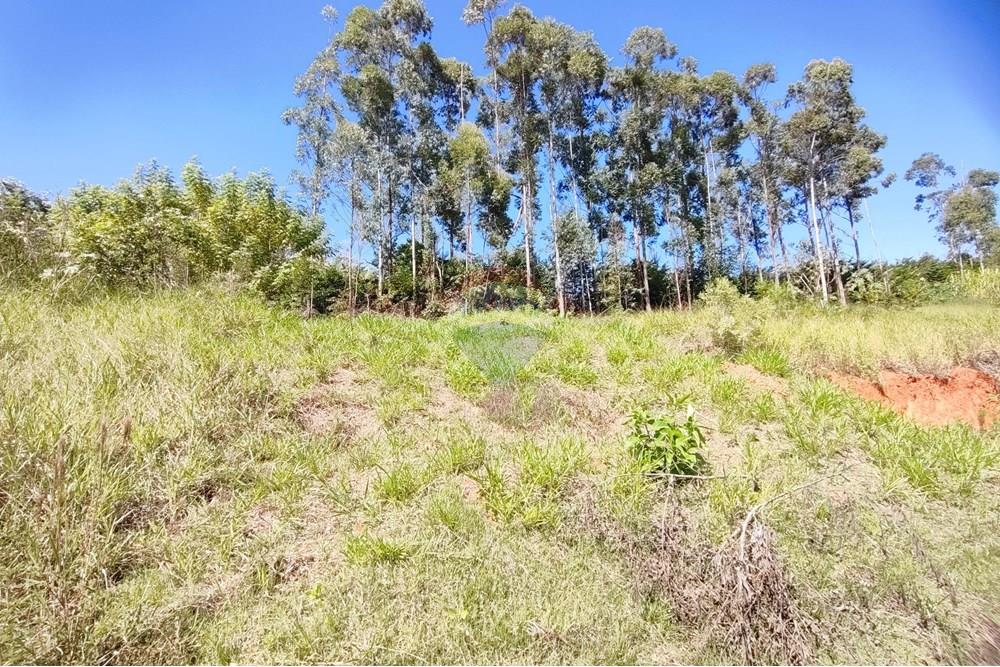 Terreno - Venda - Bragança Paulista , São Paulo - IMG_20250501_112838.jpg - 690041049-60