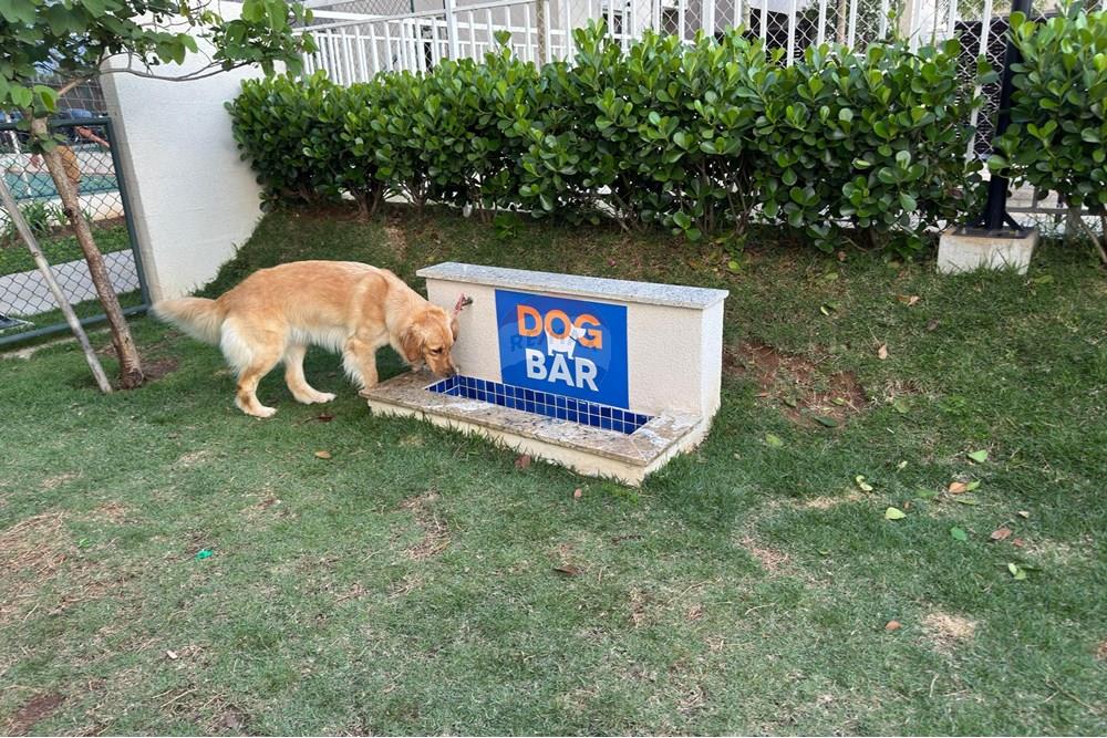 Apartamento - Alugar - Hortolândia , São Paulo - hdgflib..jpeg - 690701024-204