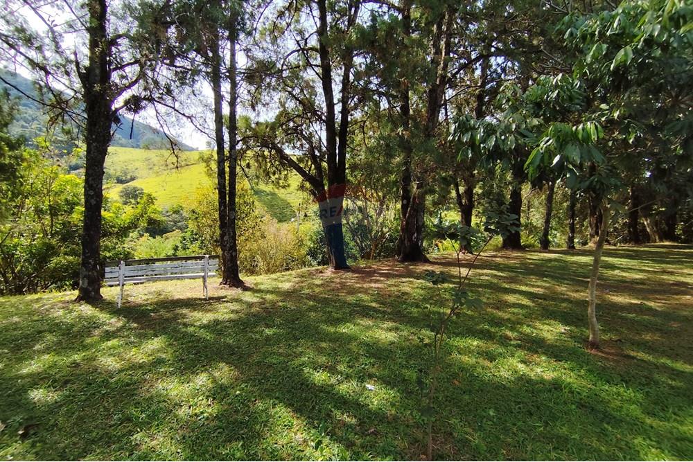 Chácara / Sítio / Fazenda - Venda - Águas de Lindóia , São Paulo - 1750451209690.jpg - 690521007-293