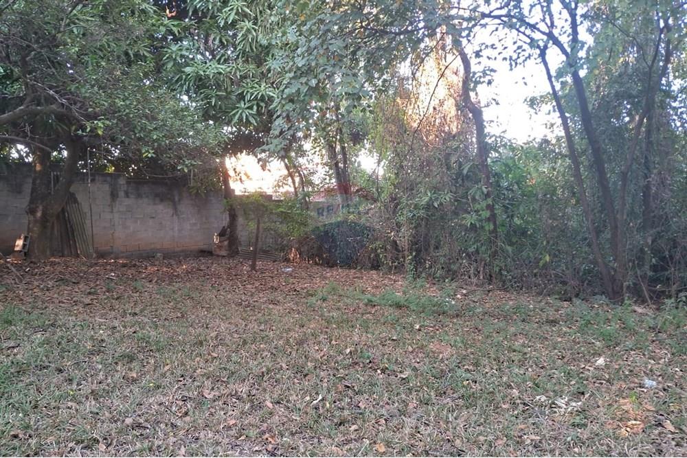 Chácara / Sítio / Fazenda - Venda - Mogi Mirim , São Paulo - chacara paola 21.jpeg - 690751035-87