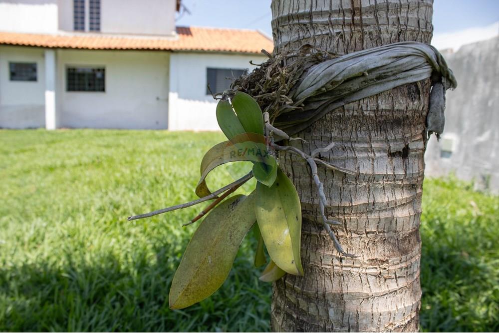 Chácara / Sítio / Fazenda - Venda - Rio Claro , São Paulo - IMG_0278.jpg - 690811057-32