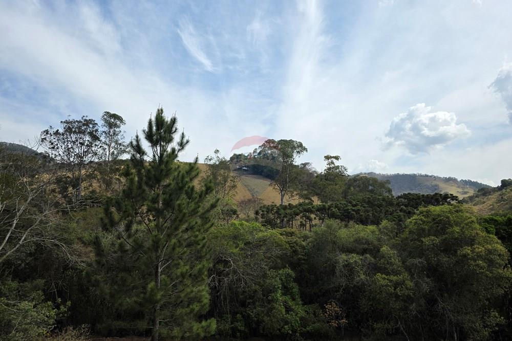 Terreno - Venda - Camanducaia , Minas Gerais - 20250919_143941.jpg - 690041041-51