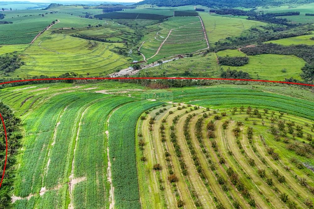 Fazenda - Venda - Analândia , São Paulo - Tratada - Drone-13.jpg - 690691016-305