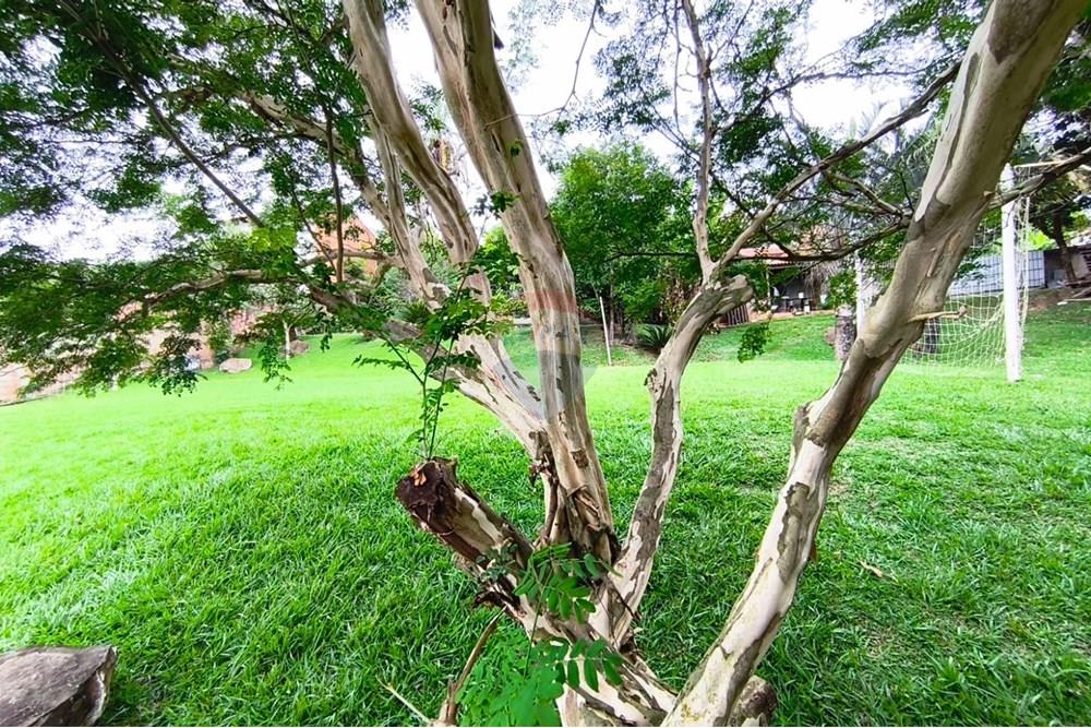 Terreno - Venda - Mogi Guaçu , São Paulo - WhatsApp Image 2025-04-25 at 17.30.49 (1).jpeg - 690521018-181