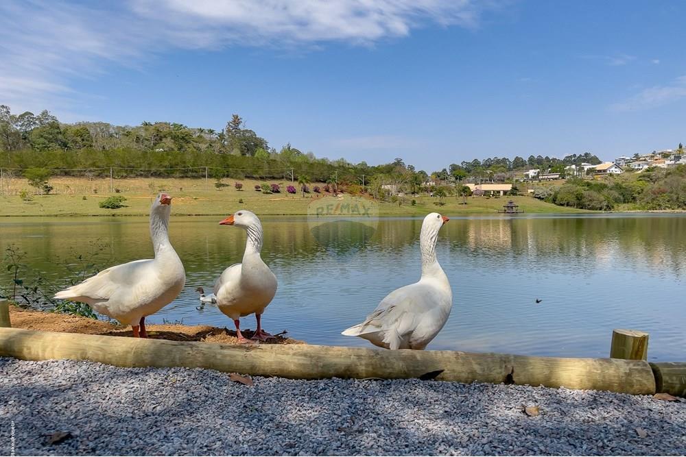 Terreno - Venda - Itatiba , São Paulo - TKD-7254.jpg - 690661020-152