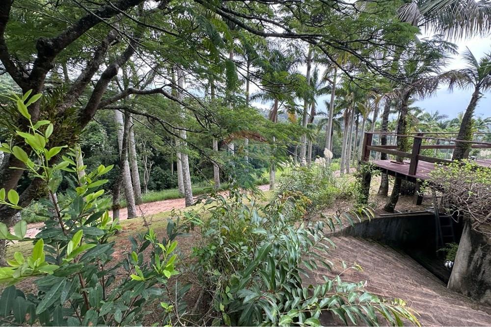 Chácara / Sítio / Fazenda - Venda - Morungaba , São Paulo - 2 (1).jpeg - 691131015-48