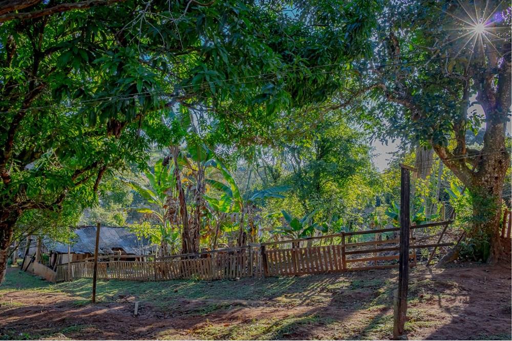 Chácara / Sítio / Fazenda - Venda - Atibaia , São Paulo - RINF-152.jpg - 690921066-77