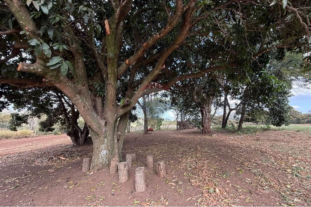 Terreno - Venda - Bragança Paulista , São Paulo - WhatsApp Image 2025-08-25 at 15.25.11.jpeg - 690041010-105