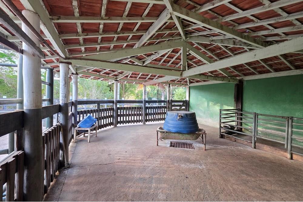 Chácara / Sítio / Fazenda - Venda - Itapira , São Paulo - 20250902_171213.jpg - 690521005-184