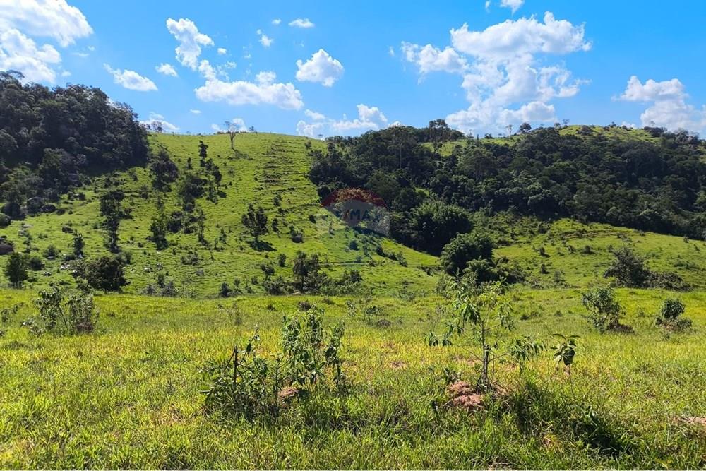 Chácara / Sítio / Fazenda - Venda - Morungaba , São Paulo - WhatsApp Image 2026-03-05 at 17.26.22 (1).jpeg - 691131002-3