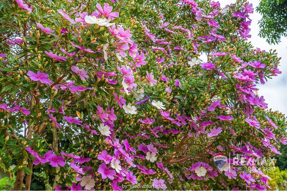 Chácara / Sítio / Fazenda - Venda - Vinhedo , São Paulo - EDI05520EDIVO FURTADO - RG98002306922SSPCE - 690541093-139 - REMAX REDE PRO_.jpg - 690541093-139