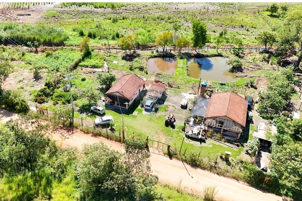 Chácara / Sítio / Fazenda - Venda - Mogi Guaçu , São Paulo - DJI_20250301151143_0023_D.JPG - Quintal - 690521015-158