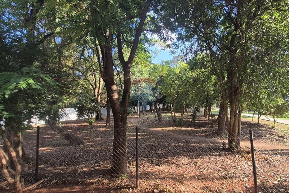 Casa de Condomínio - Venda - Paulínia , São Paulo - 20250503_154109.jpg - 690511202-3