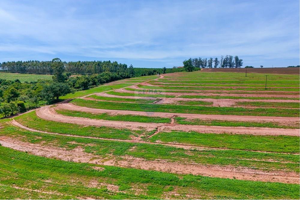 Chácara / Sítio / Fazenda - Venda - Santa Cruz da Conceição , São Paulo - Tratada-50.jpg - 690481029-26