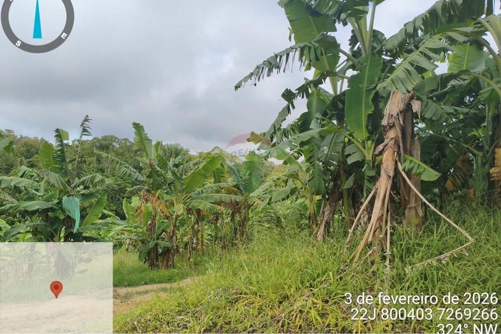 Fazenda - Venda - Jacupiranga , São Paulo - WhatsApp Image 2026-03-02 at 20.10.39.jpeg - 690061037-12