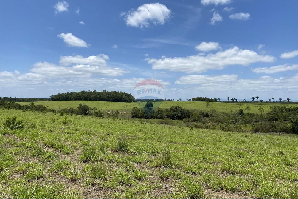 Fazenda - Venda - Iguape , São Paulo - IMG_5998.jpg - 690061038-14