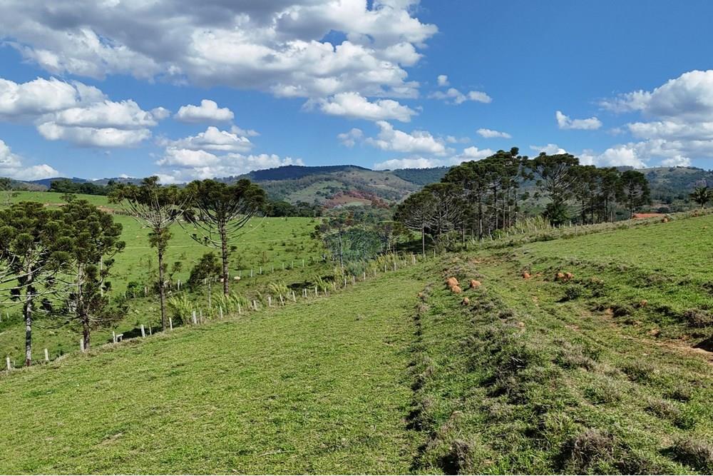 Chácara / Sítio / Fazenda - Venda - Socorro , São Paulo - DJI_20251121153133_0448_D.JPG - 690041041-39