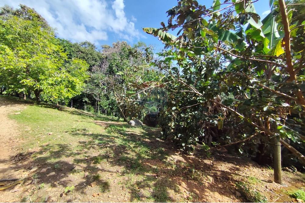 Chácara / Sítio / Fazenda - Venda - Itapira , São Paulo - 1751510168907.jpg - 690291085-364