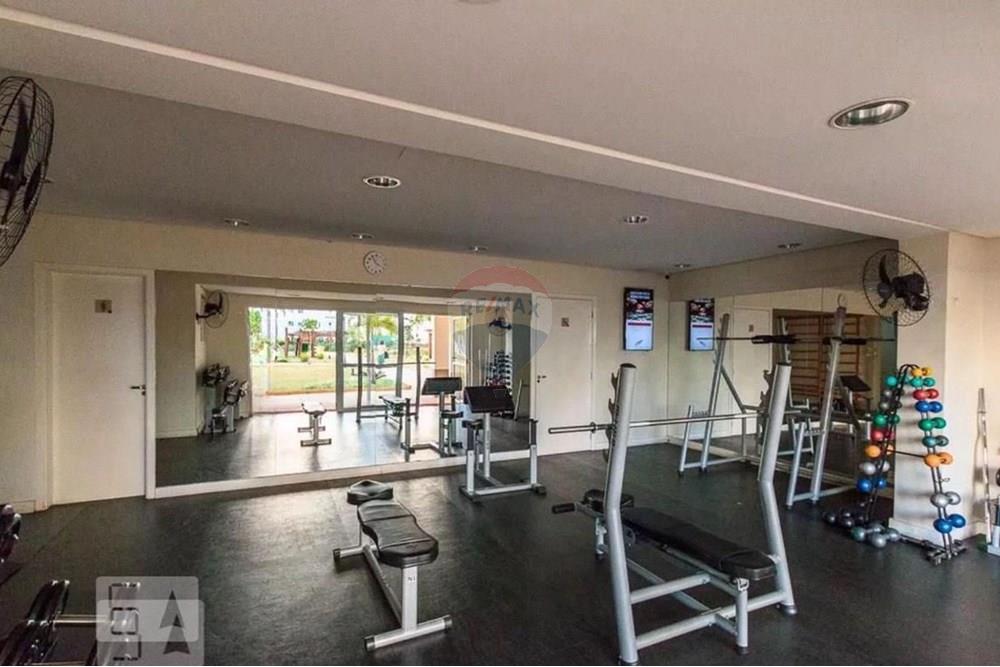 Apartamento - Alugar - Campinas , São Paulo - WhatsApp Image 2024-08-27 at 01.20.17 (2).jpeg - 690681050-155