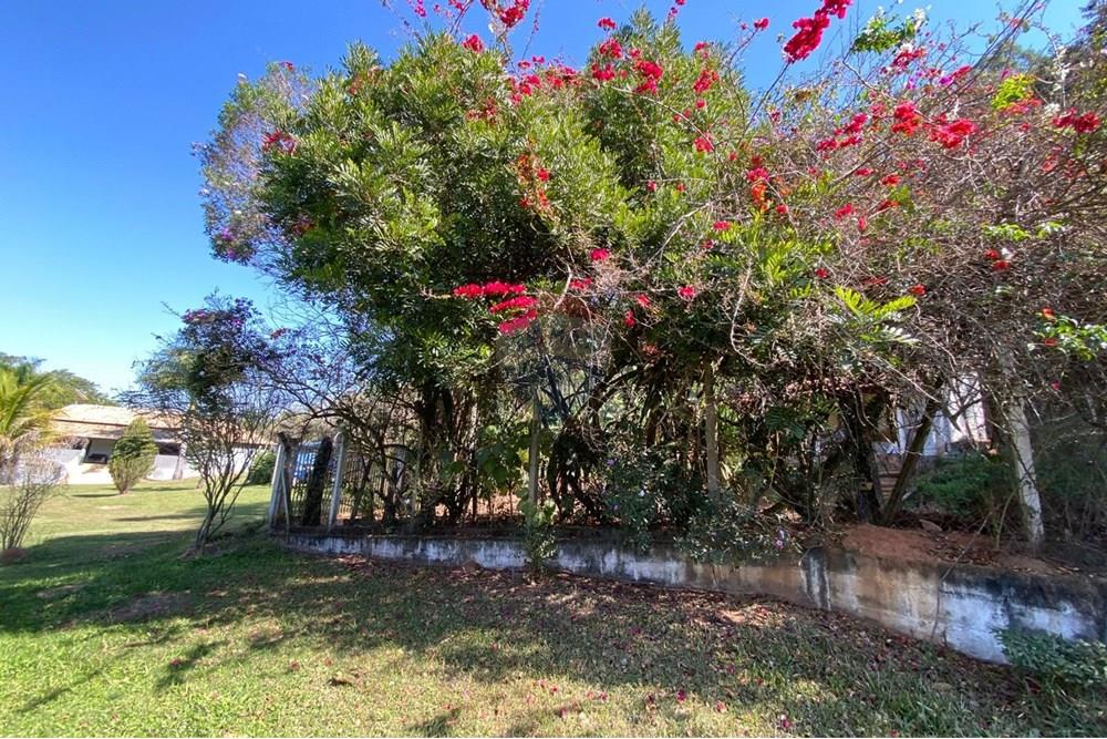 Chácara / Sítio / Fazenda - Venda - Jacutinga , Minas Gerais - WhatsApp Image 2025-08-06 at 14.17.32 (1).jpeg - 690291077-290