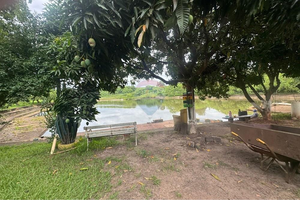 Chácara / Sítio / Fazenda - Venda - Araras , São Paulo - WhatsApp Image 2026-01-13 at 09.27.402.jpeg - 690691043-147