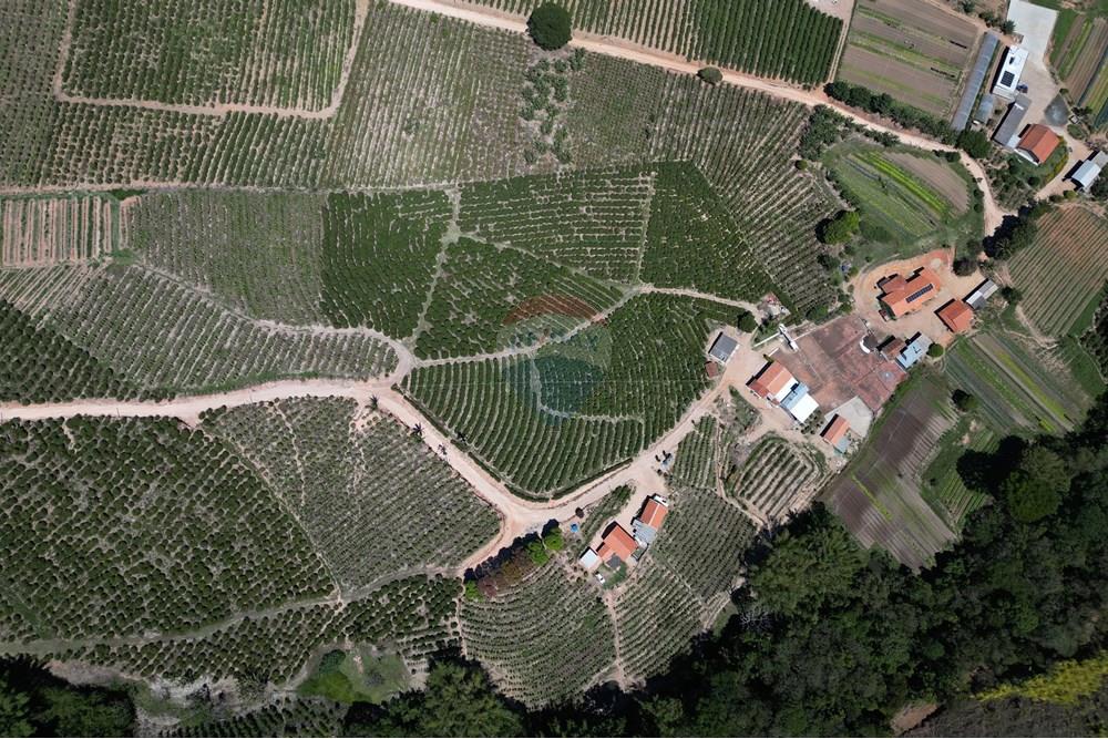 Agro - Venda - Serra Negra , São Paulo - DJI_0642.JPG - 690291056-50