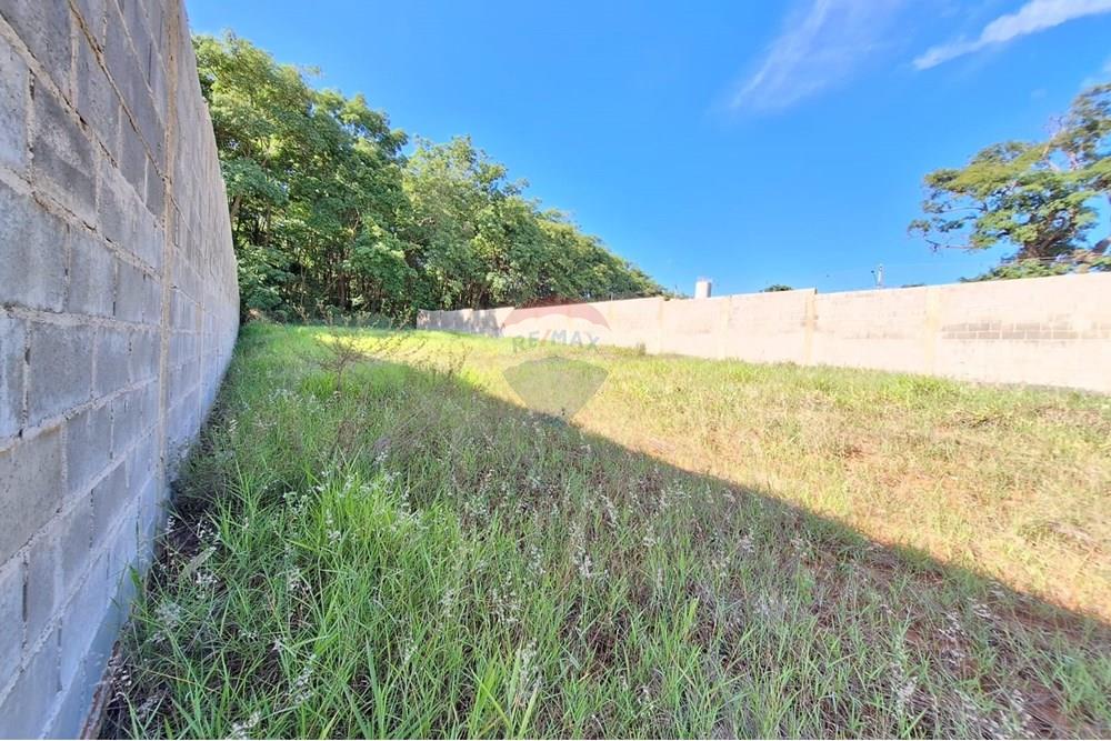 Terreno - Venda - Mogi Mirim , São Paulo - IMG-20241208-WA0063.jpg - Quintal - 690751048-328