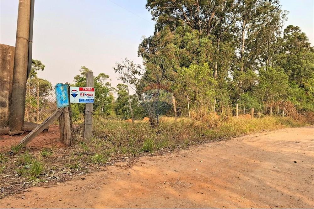 Gyvenamasis - Žemės sklypas - Pedreira , San Paulas - BR - WhatsApp Image 2024-08-23 at 16.24.27.jpeg - Žiemos sodas - 690671004-331