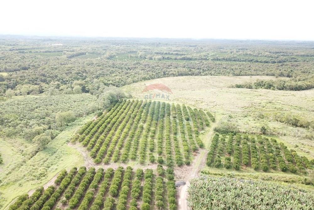 Fazenda - Venda - Pariquera-Açu , São Paulo - AHSM3328.JPG - 690061038-26