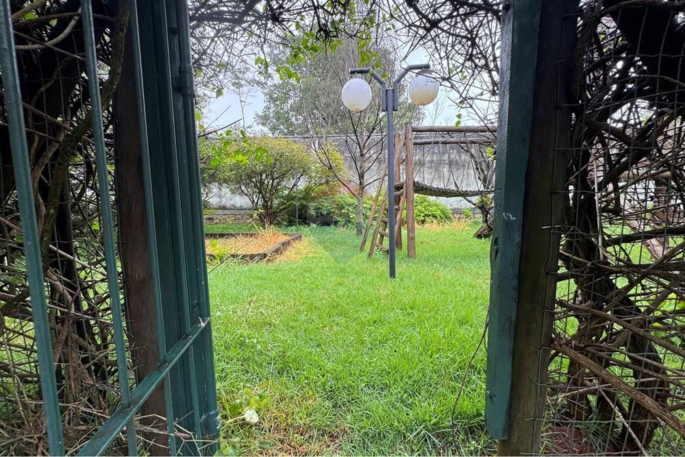 Casa Comercial - Alugar - Campinas , São Paulo - IMG_7032.JPEG - 691181013-20