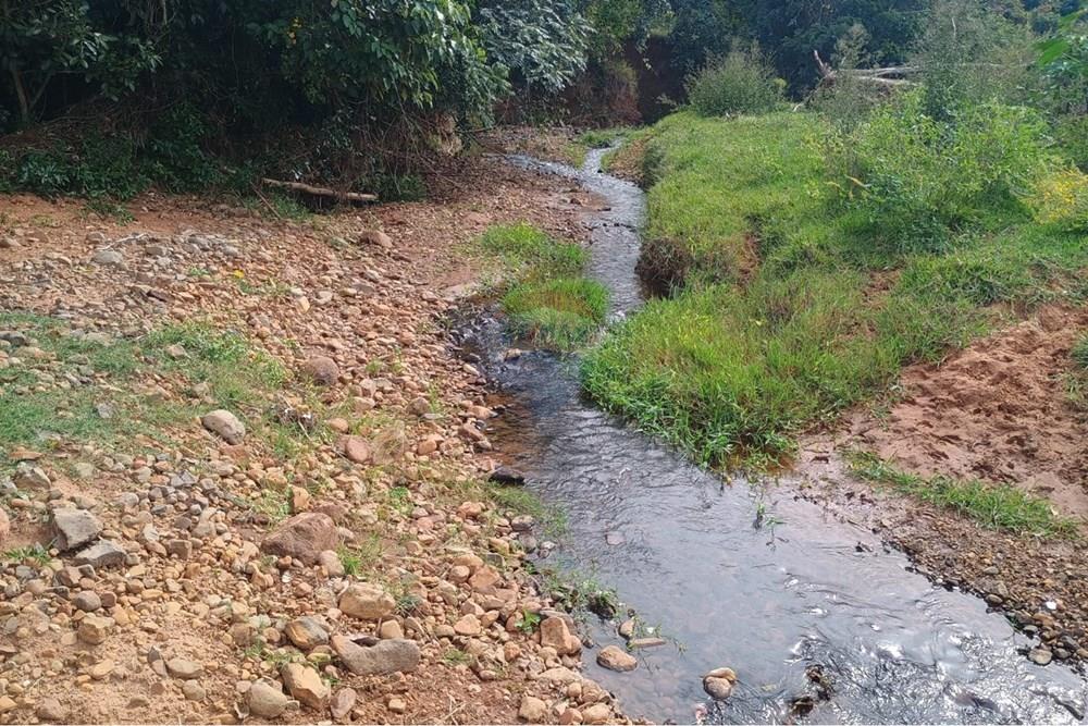 Chácara / Sítio / Fazenda - Venda - Santa Maria da Serra , São Paulo - 8983bdc7-433e-48c3-9144-369bd7199304.jpg - 690571076-32