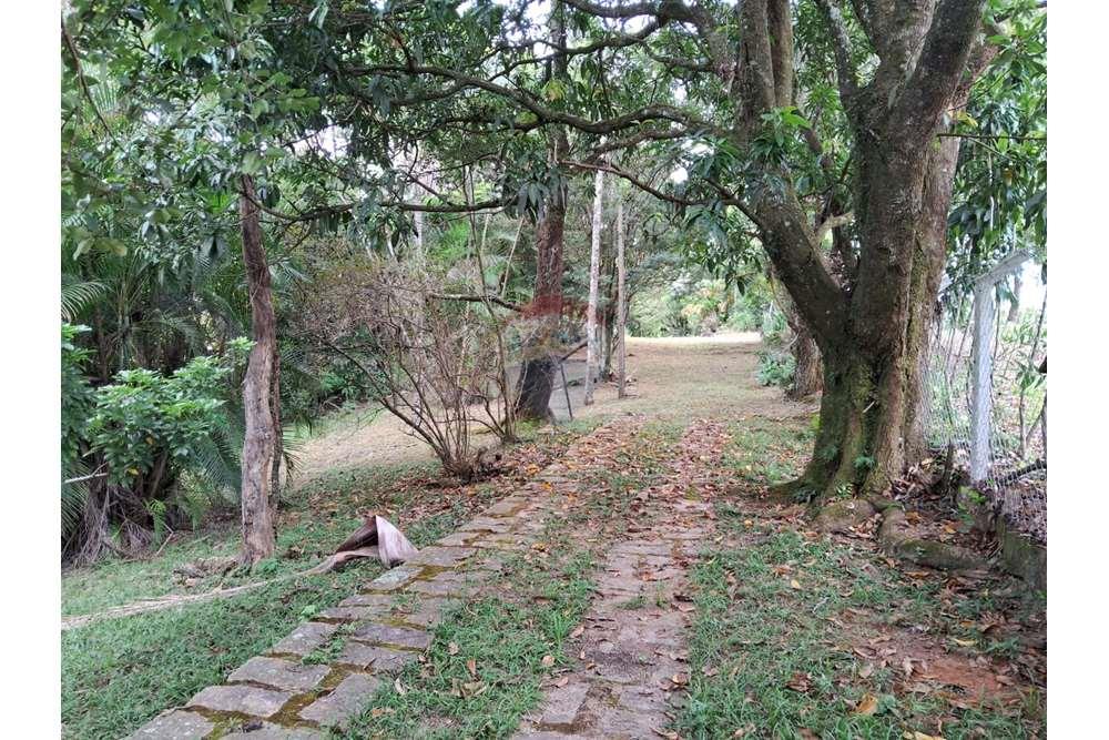 Chácara / Sítio / Fazenda - Venda - Valinhos , São Paulo - foto 5.jpg - 690851076-164