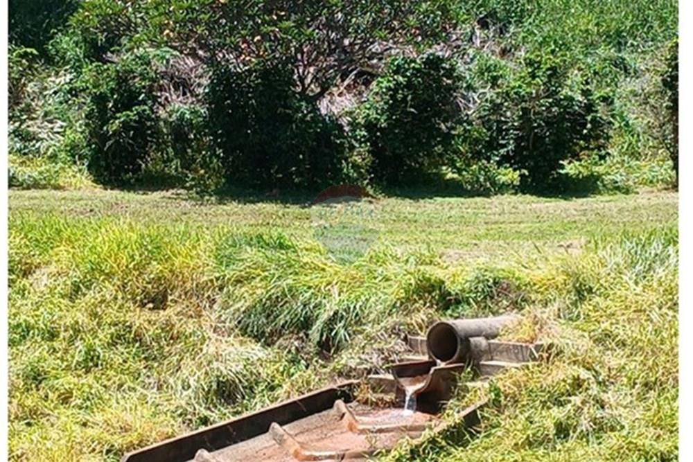 Chácara / Sítio / Fazenda - Venda - Bragança Paulista , São Paulo - 20260213_111655.jpg - 690141085-32